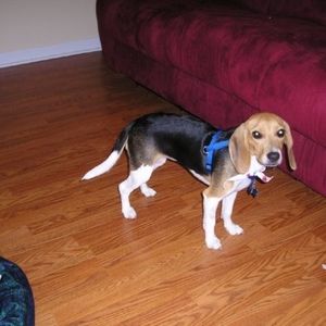 Meet your Posher, Posh